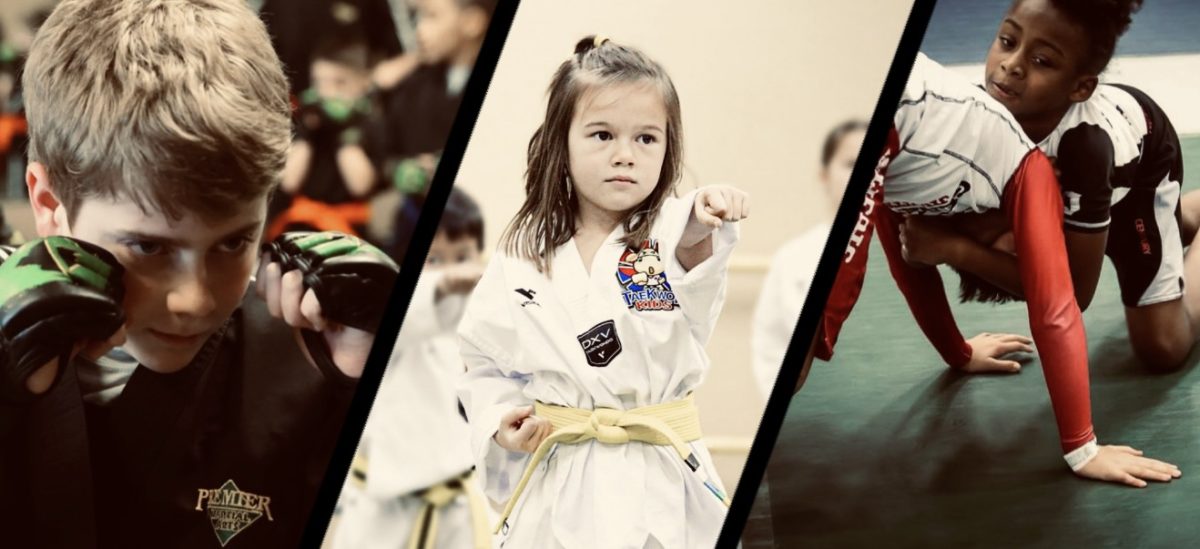 Photos from Taekwon Kids, Premier Martial Arts and USA Martial Arts Fitness (left to right).