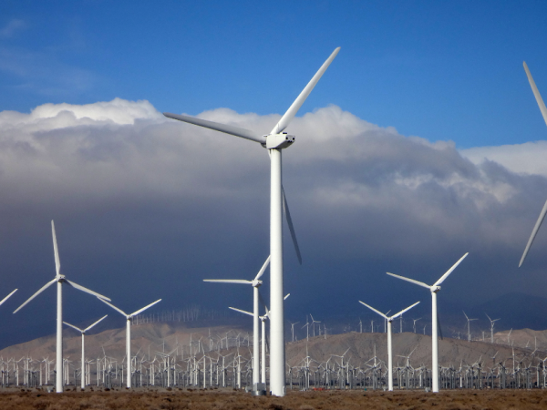 A sprawling wind farm covers this mountain range in California. Photo from Picasa.